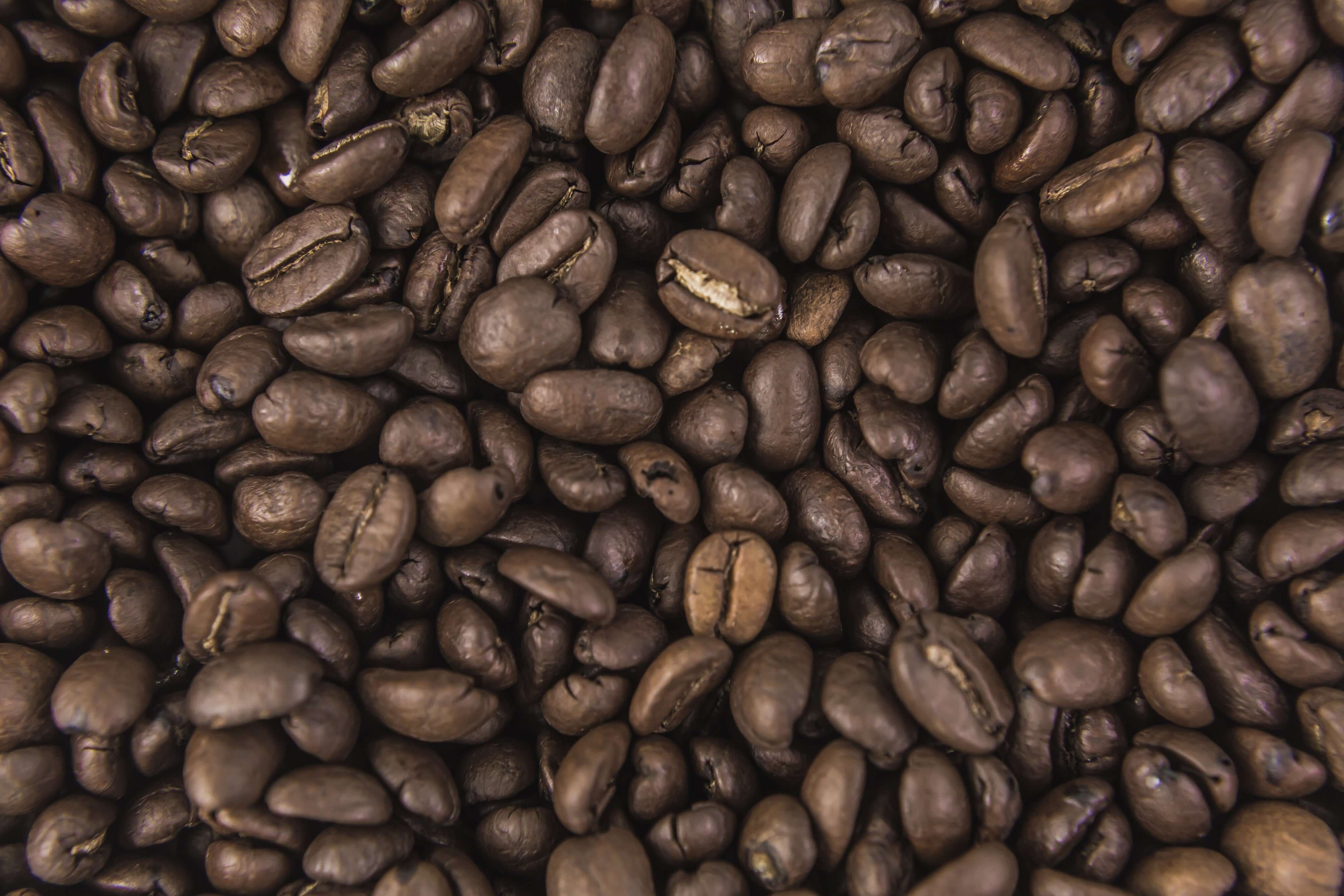 A photo of coffee beans from above