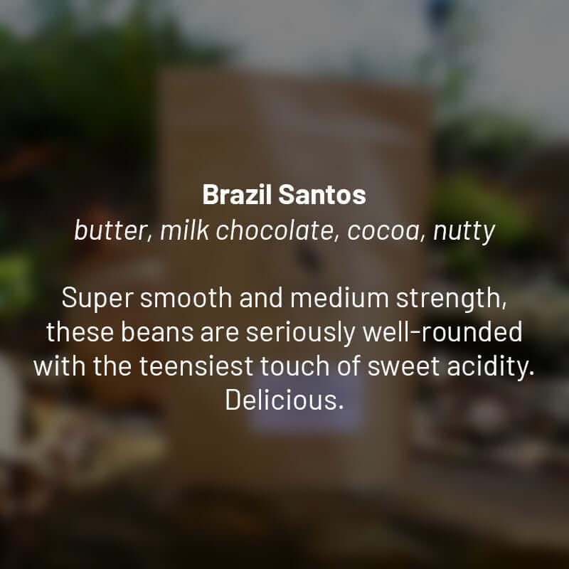 Brazil Fancy Santos roasted coffee beans - Premium coffee beans from Dancing Goat Coffee Roasters - From just $15! Shop now