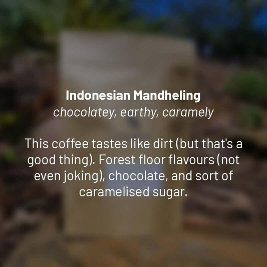 Indonesia Mandheling roasted coffee beans - Premium coffee beans from Dancing Goat Coffee Roasters - From just $15! Shop now