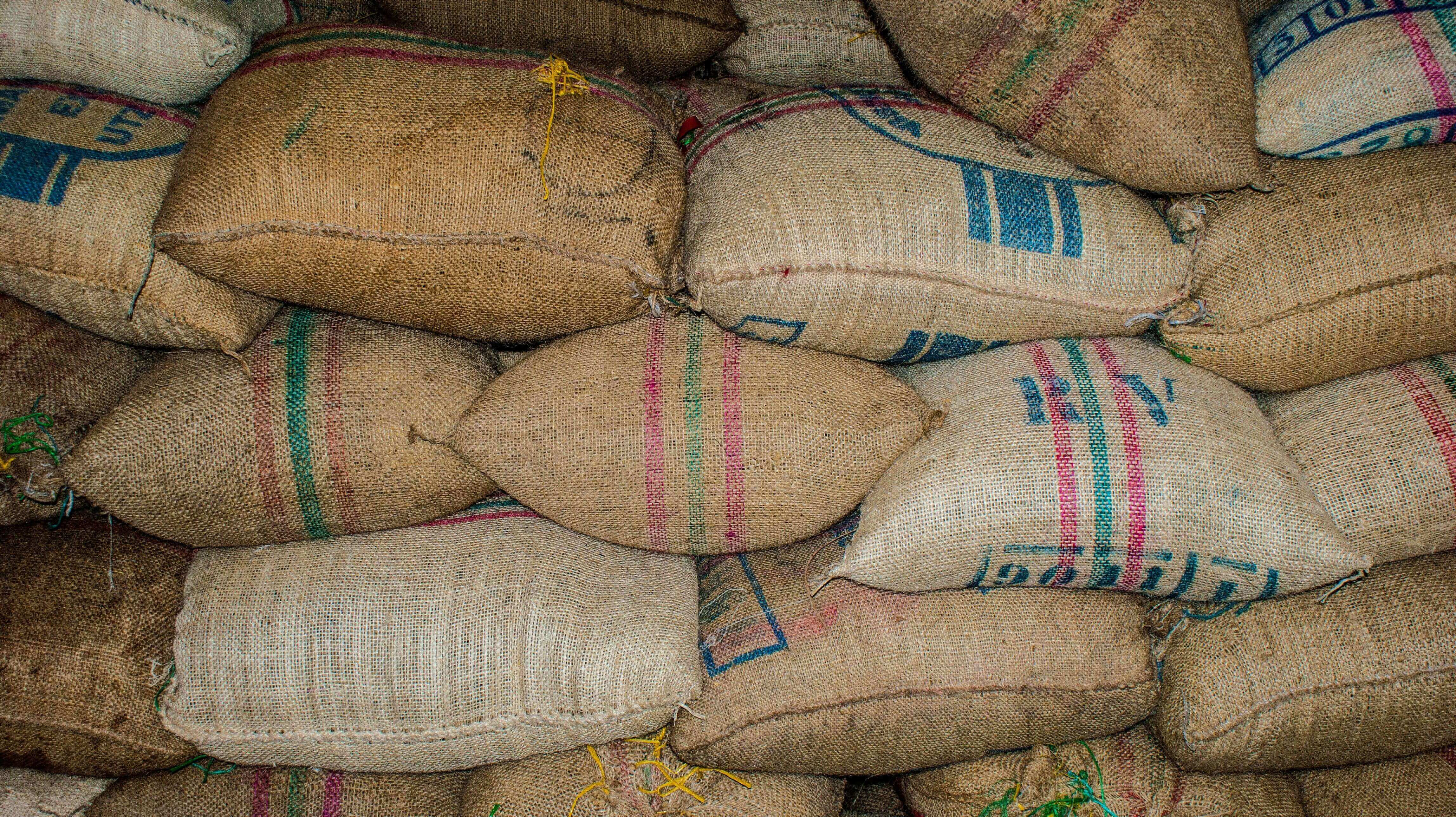 What are the best coffee beans in the world?