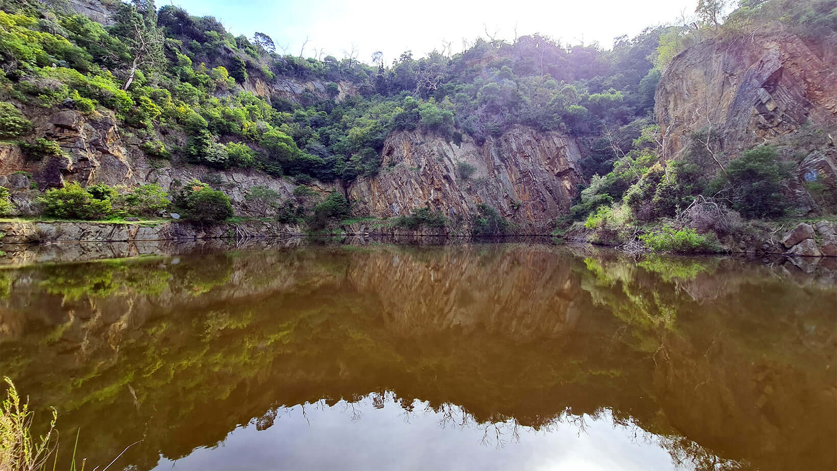 Why choose Dancing Goat Coffee Roasters in Mount Eliza for your coffee fix