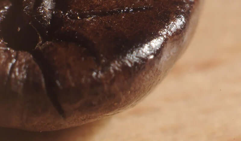 A coffee bean represents this Dancing Goat story about roasting time