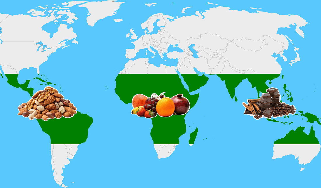 World map highlighting coffee belt regions with nuts, fruits, and chocolate icons, for Dancing Goat Coffee Roasters.