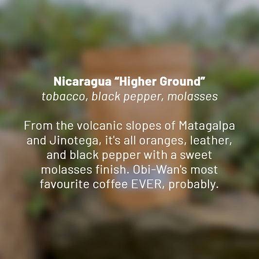 Nicaragua 'Higher Ground' roasted coffee beans - Premium coffee beans from Dancing Goat Coffee Roasters - From just $15! Shop now