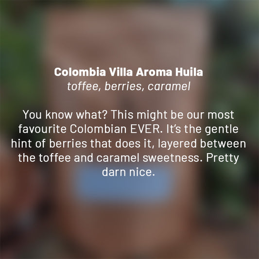 Colombia Villa Aroma Huila roasted coffee beans - Premium coffee beans from Dancing Goat Coffee Roasters - From just $15! Shop now