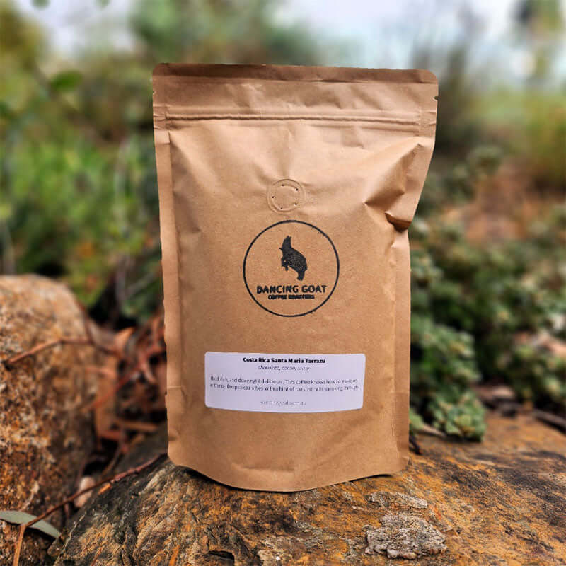 Costa Rica Santa Maria Tarrazu roasted coffee beans - Premium coffee beans from Dancing Goat Coffee Roasters - From just $15! Shop now
