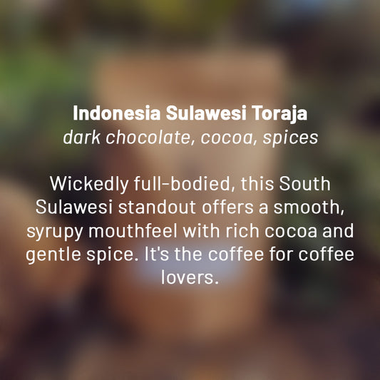 Indonesia Sulawesi Toraja roasted coffee beans - Premium coffee beans from Dancing Goat Coffee Roasters - From just $15! Shop now