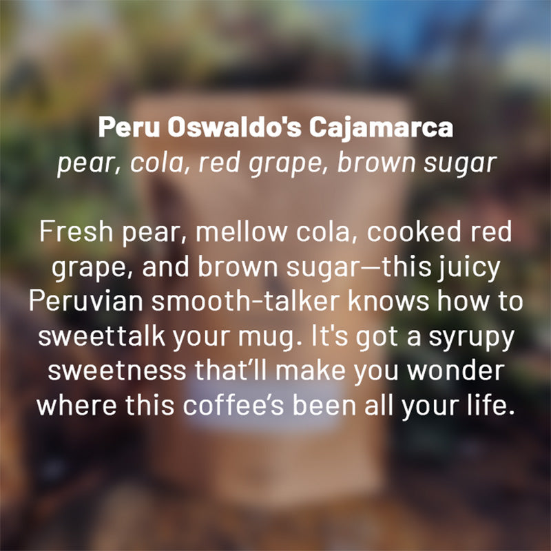 Peru Oswaldo's Cajamarca roasted coffee beans - Premium coffee beans from Dancing Goat Coffee Roasters - From just $15! Shop now