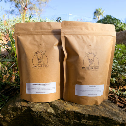 The Small Surprise roasted coffee beans - Premium coffee beans from Dancing Goat Coffee Roasters - From just $30! Shop now
