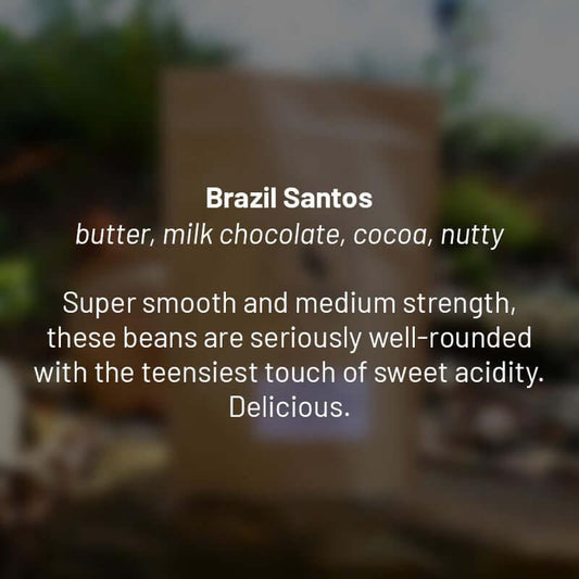 Brazil Fancy Santos roasted coffee beans - Premium coffee beans from Dancing Goat Coffee Roasters - From just $15! Shop now