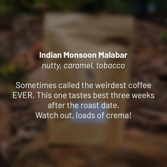 India Monsoon Malabar roasted coffee beans - Premium coffee beans from Dancing Goat Coffee Roasters - From just $15! Shop now