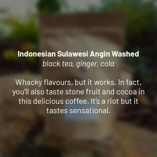 Indonesia Sulawesi Angin Washed roasted coffee beans - Premium coffee beans from Dancing Goat Coffee Roasters - From just $15! Shop now